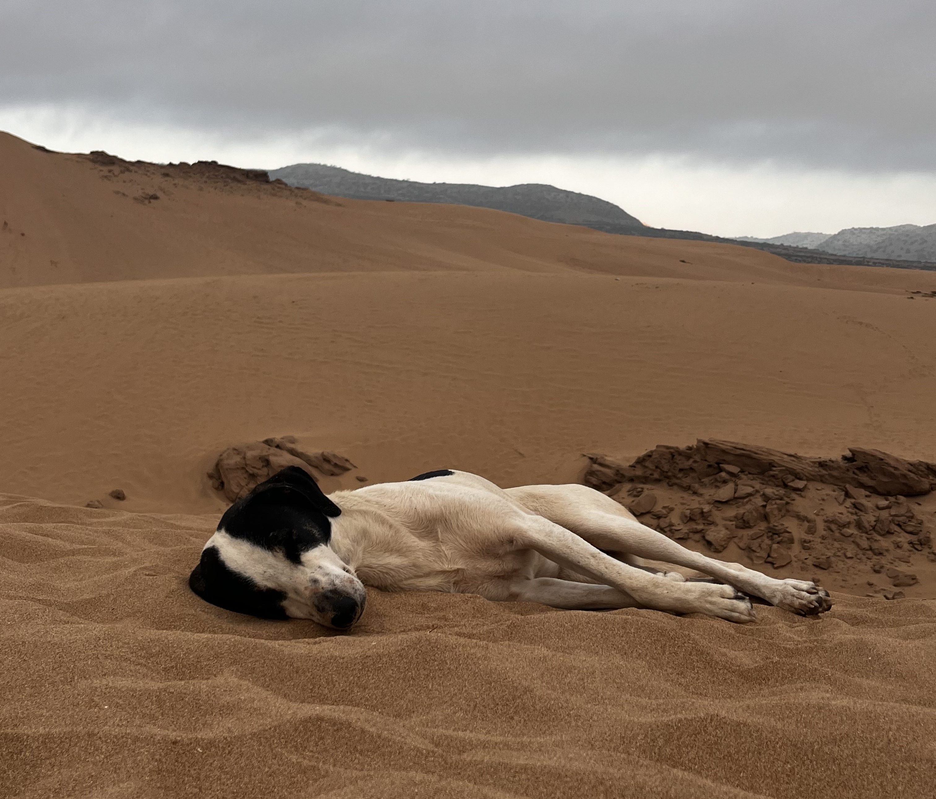 Timlaline Sanddunes Morocco