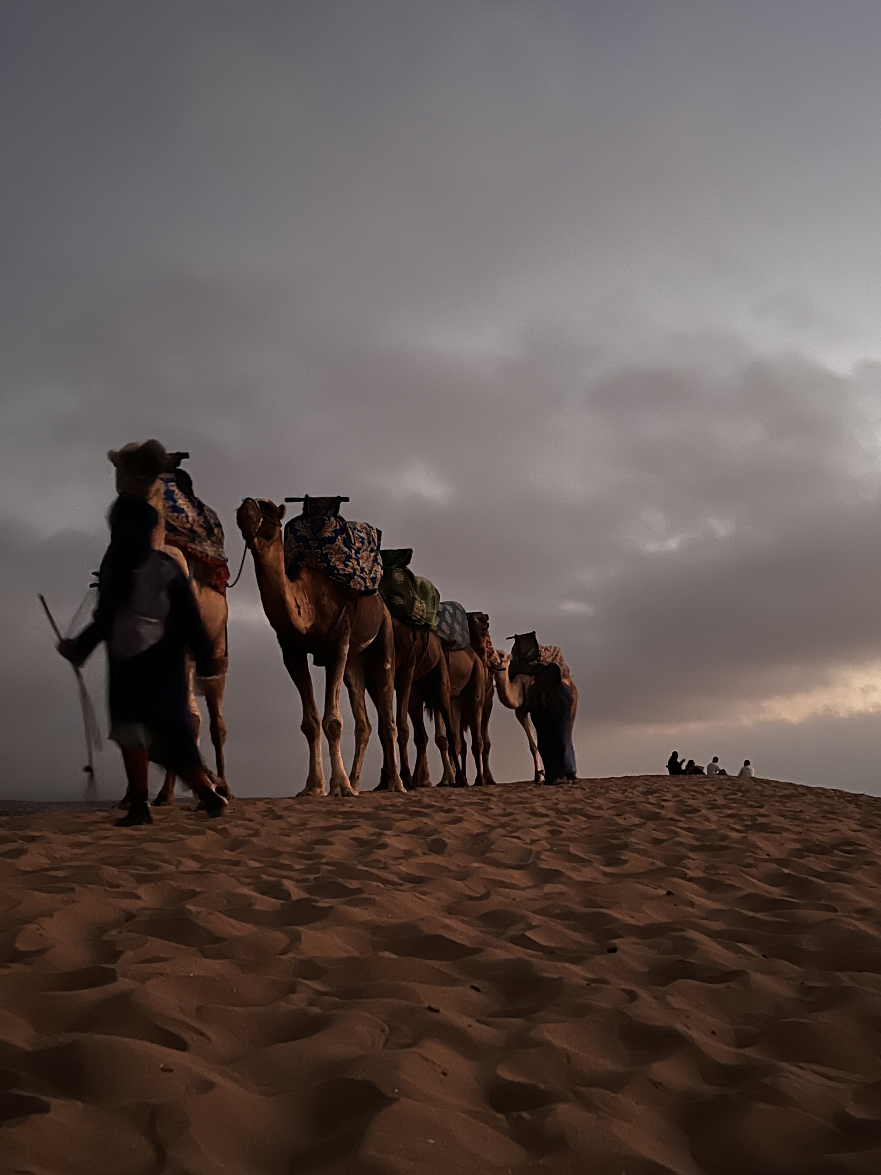 Timlaline Sanddunes Morocco